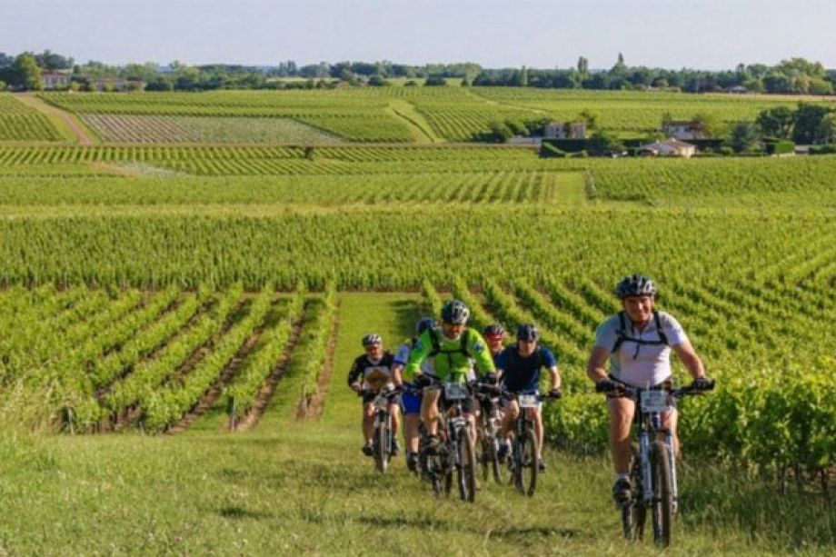 excursion VTT dans les vignes