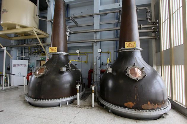 Team Building entreprise Londres : visite de la distillerie Beefeater au cœur de Londres 