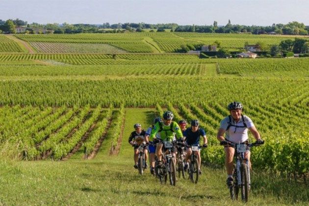 Rallye Vélo dans les vignes de Bordeaux