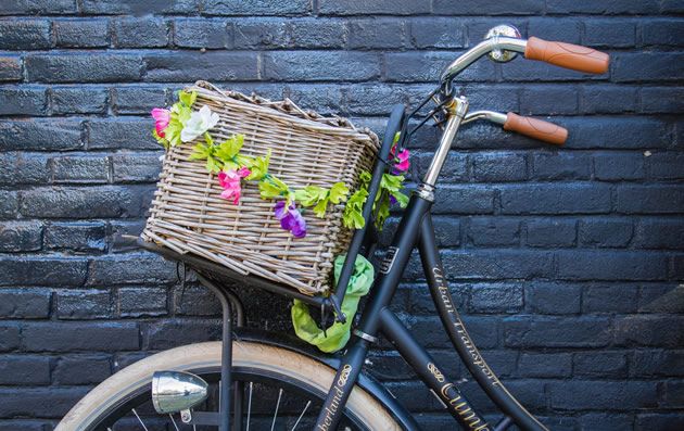 séminaire d’entreprise à Amsterdam : Découverte d'Amsterdam en vélo