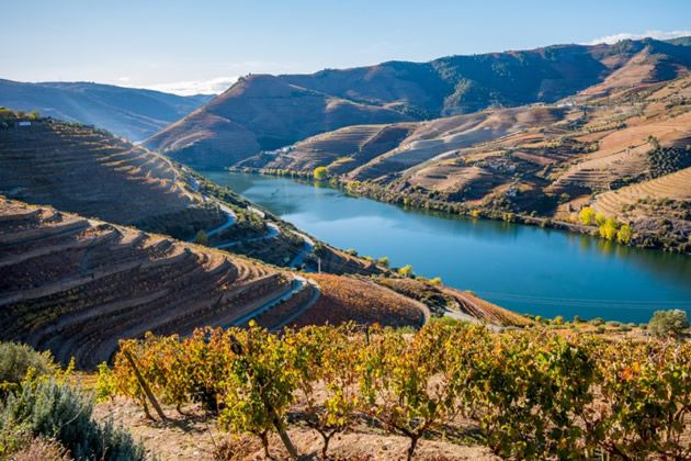 séjours comités d'entreprises en Europe : La vallée du Douro et ses vignes