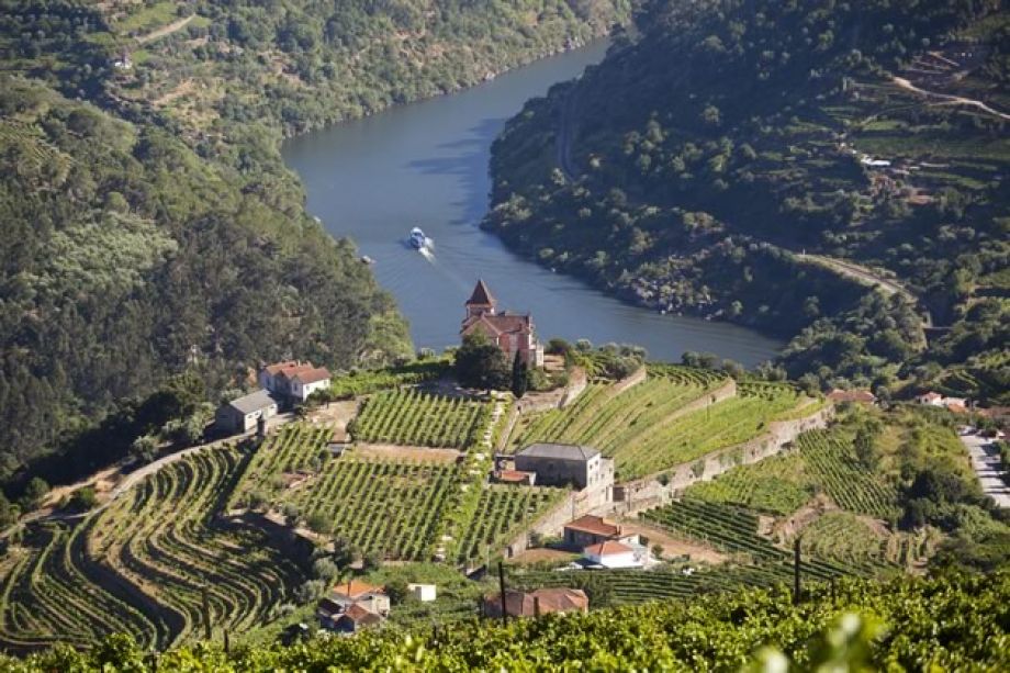 séjours incentive à Porto : Vallée de la Douro en bateau